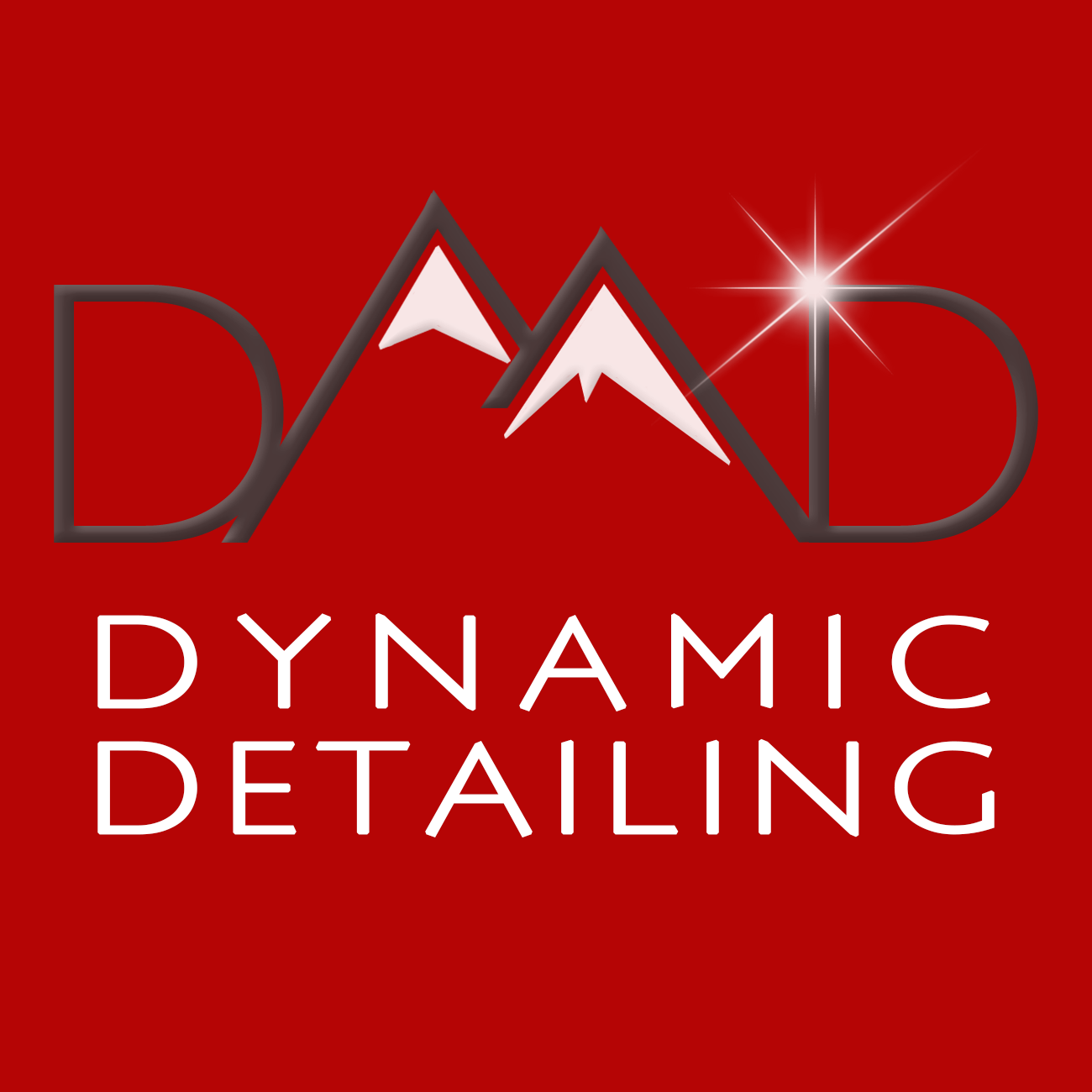 Dynamic Detailing logo