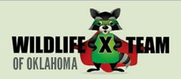 Avatar for Wildlife X Team