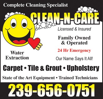 Logo for Clean N Care