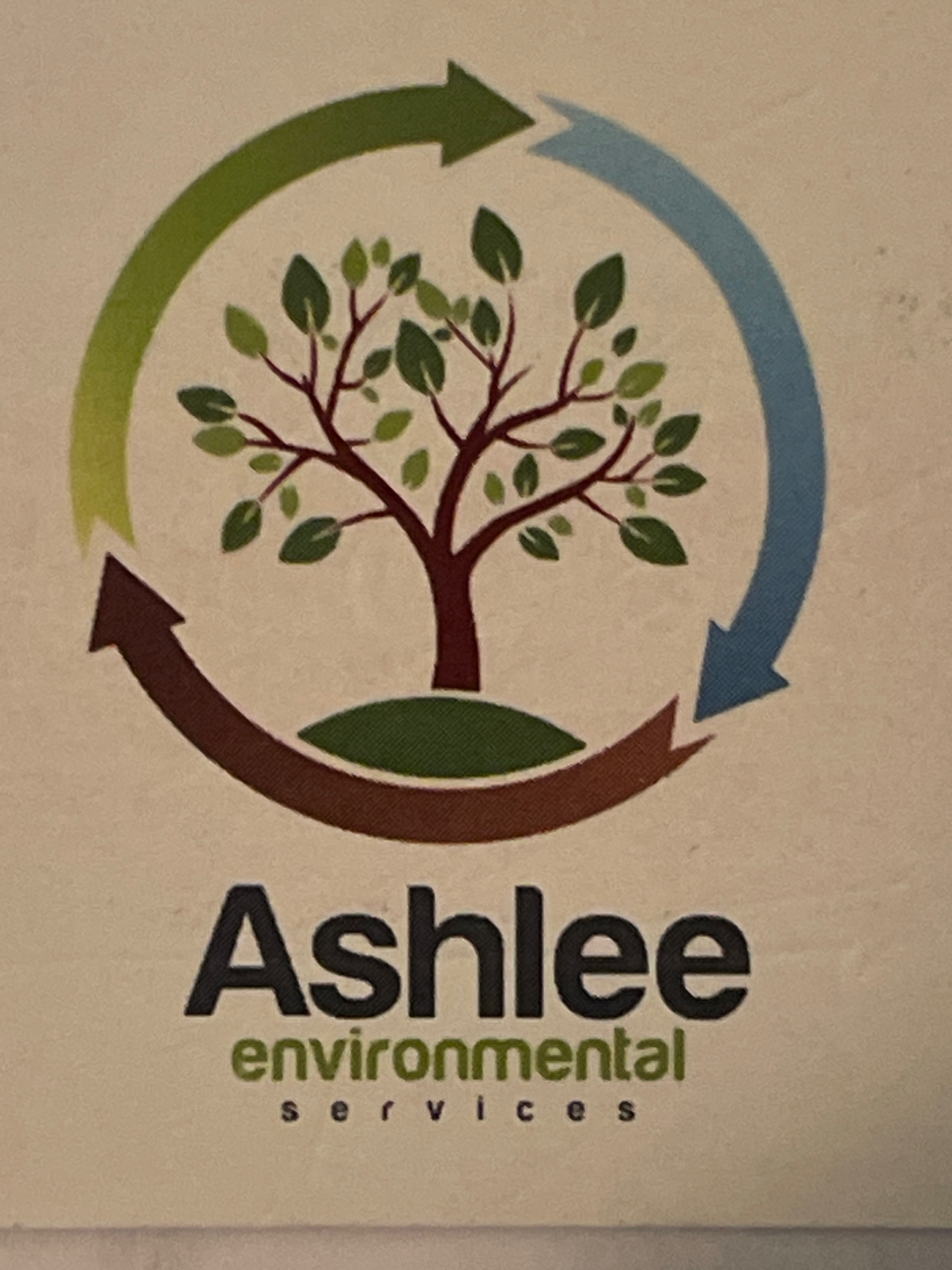 Ashlee's Environmental Service logo
