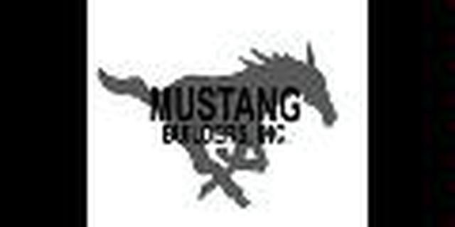 Mustang Builders Inc logo