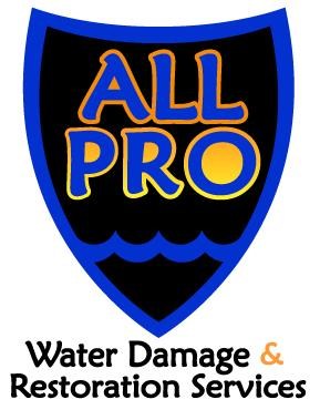 All Pro Water Damage & Restoration Services logo