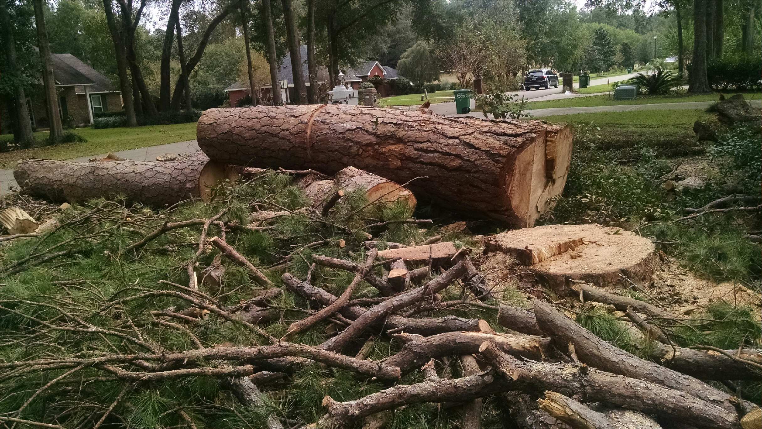 Avatar for Lonnies Affordable Tree Service