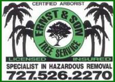 Avatar for Ernst & Sons Tree Service