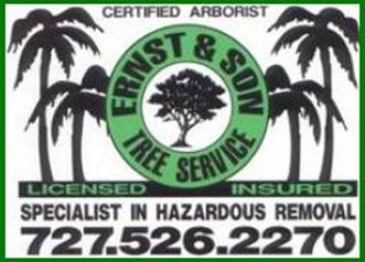 Avatar for Ernst & Sons Tree Service