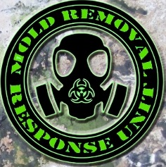 LGT Restoration Services, Inc. logo