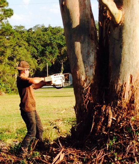 TJay's Tree Service LLC logo