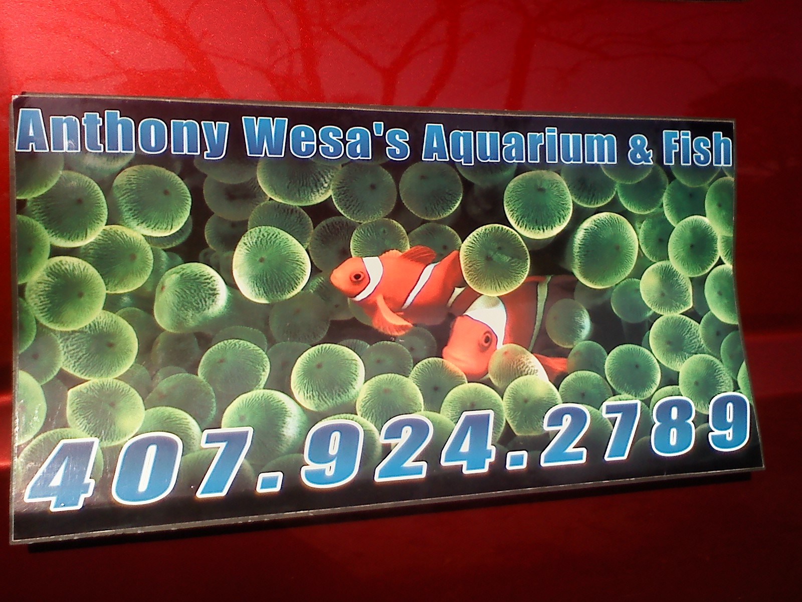 Anthony Wesa logo