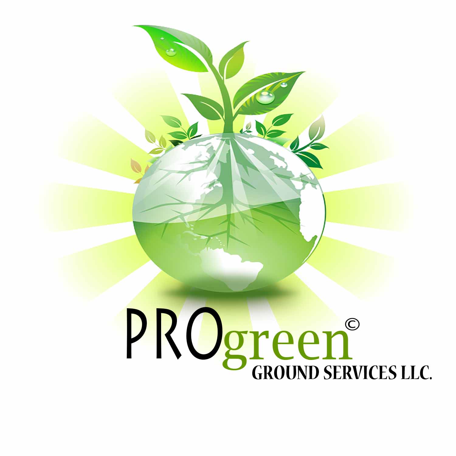 Pro Green Ground Services logo