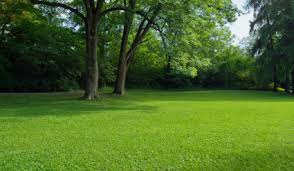 J&J Sod & Landscaping Inc logo