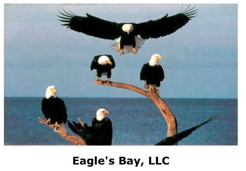 Avatar for Eagles Bay LLC