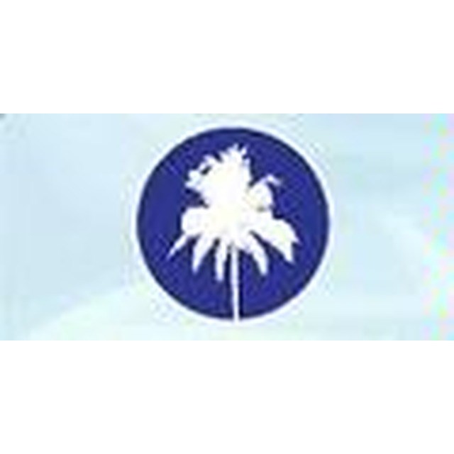 Tradewind Pools Inc logo