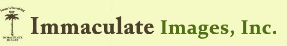 Immaculate Images Inc. logo