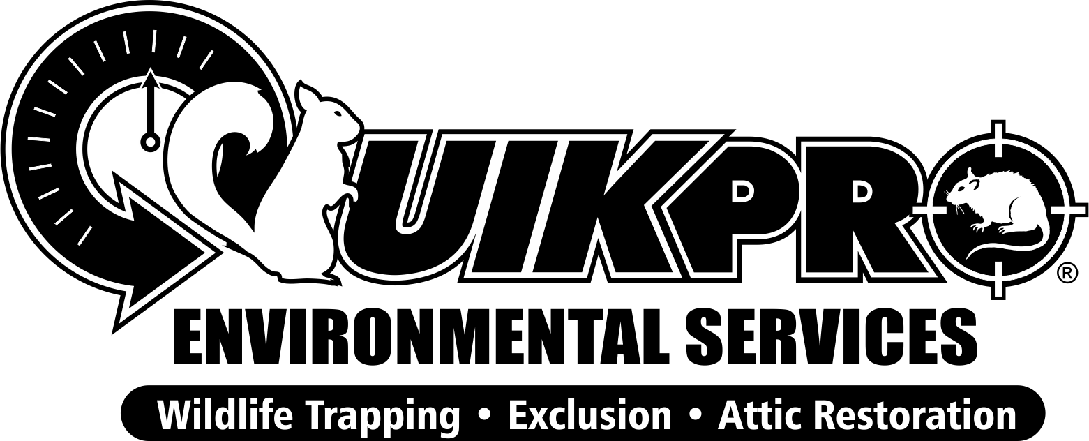 Avatar for Quik Pro Environmental Services