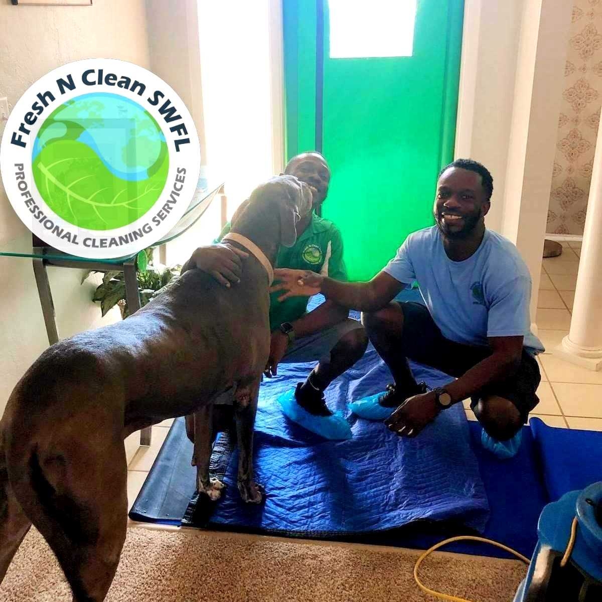 Fresh N Clean SWFL Carpet Cleaning, Inc. logo