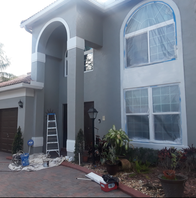 SNW Pressure Cleaning & Painting logo