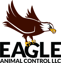 Logo for Eagle Animal Control