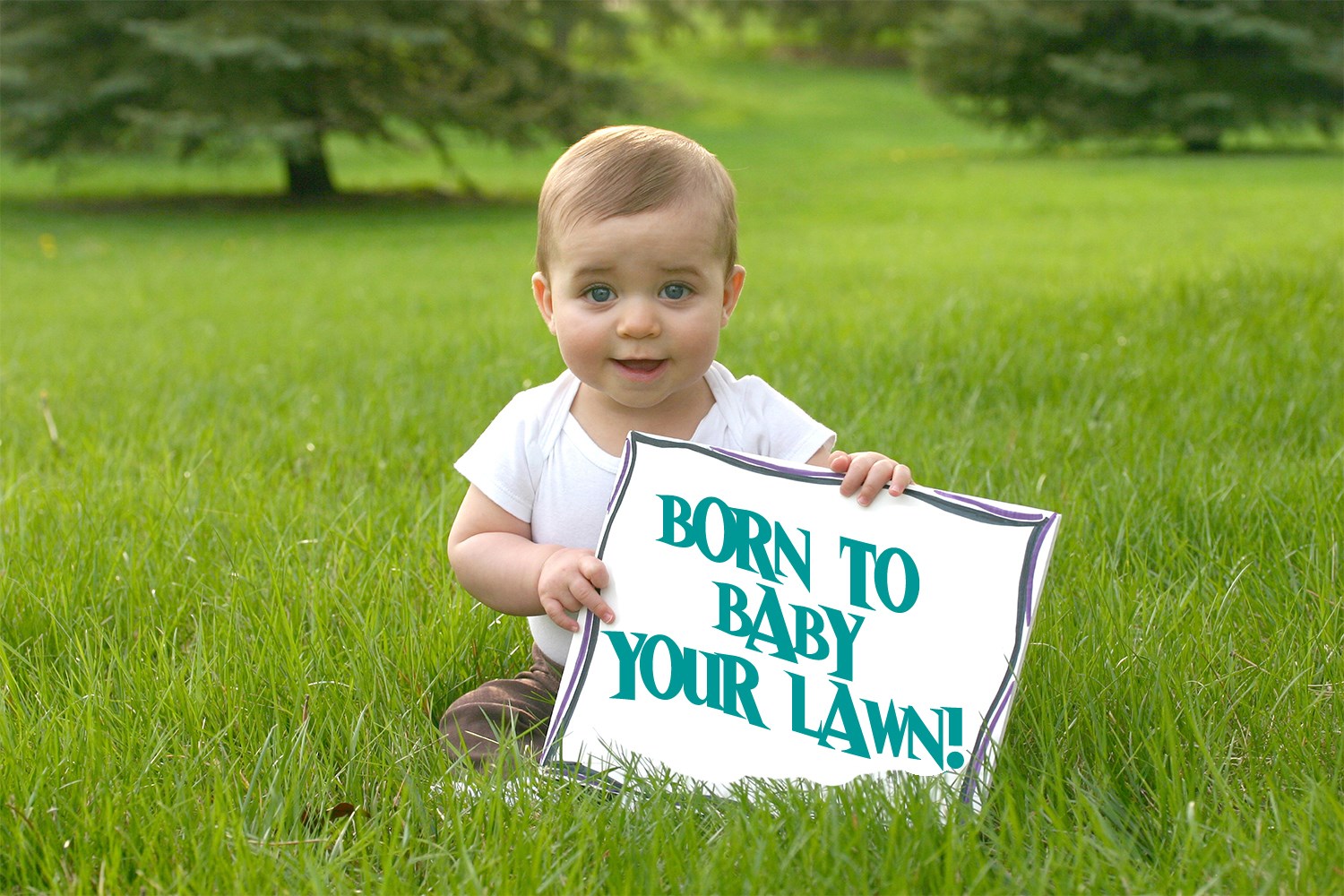 J.J. Complete Lawn Service logo