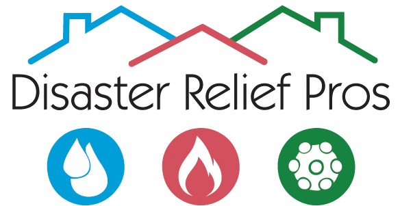 Logo for Disaster Relief Pros