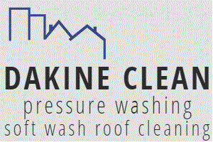Dakine Clean LLC logo