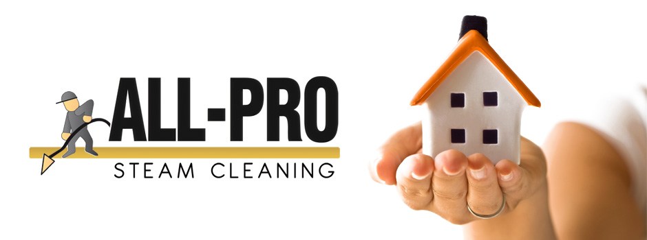 Avatar for All Pro Steam Cleaning