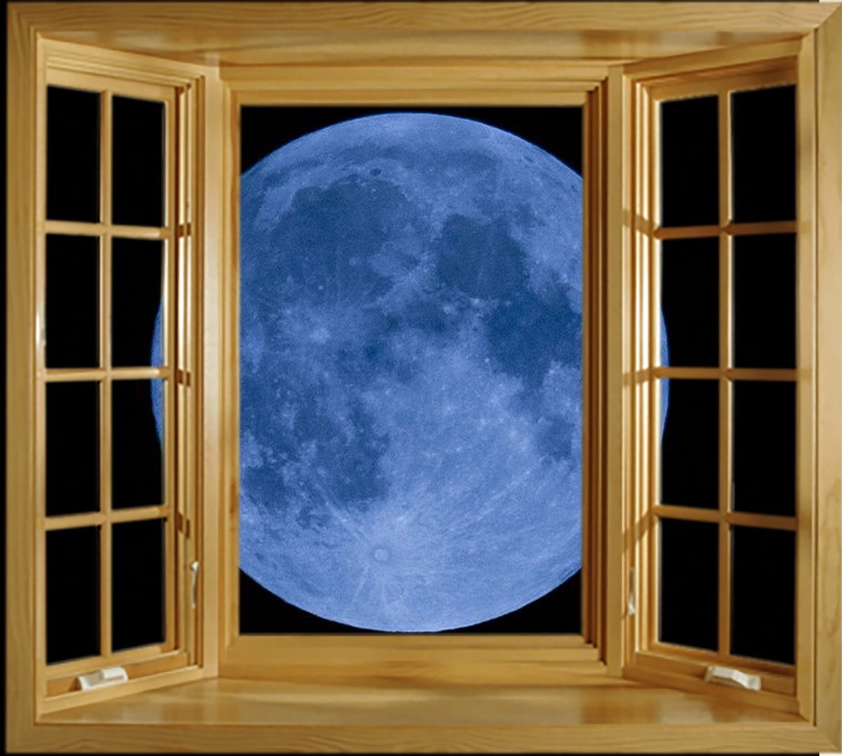 Blue Moon Installations logo