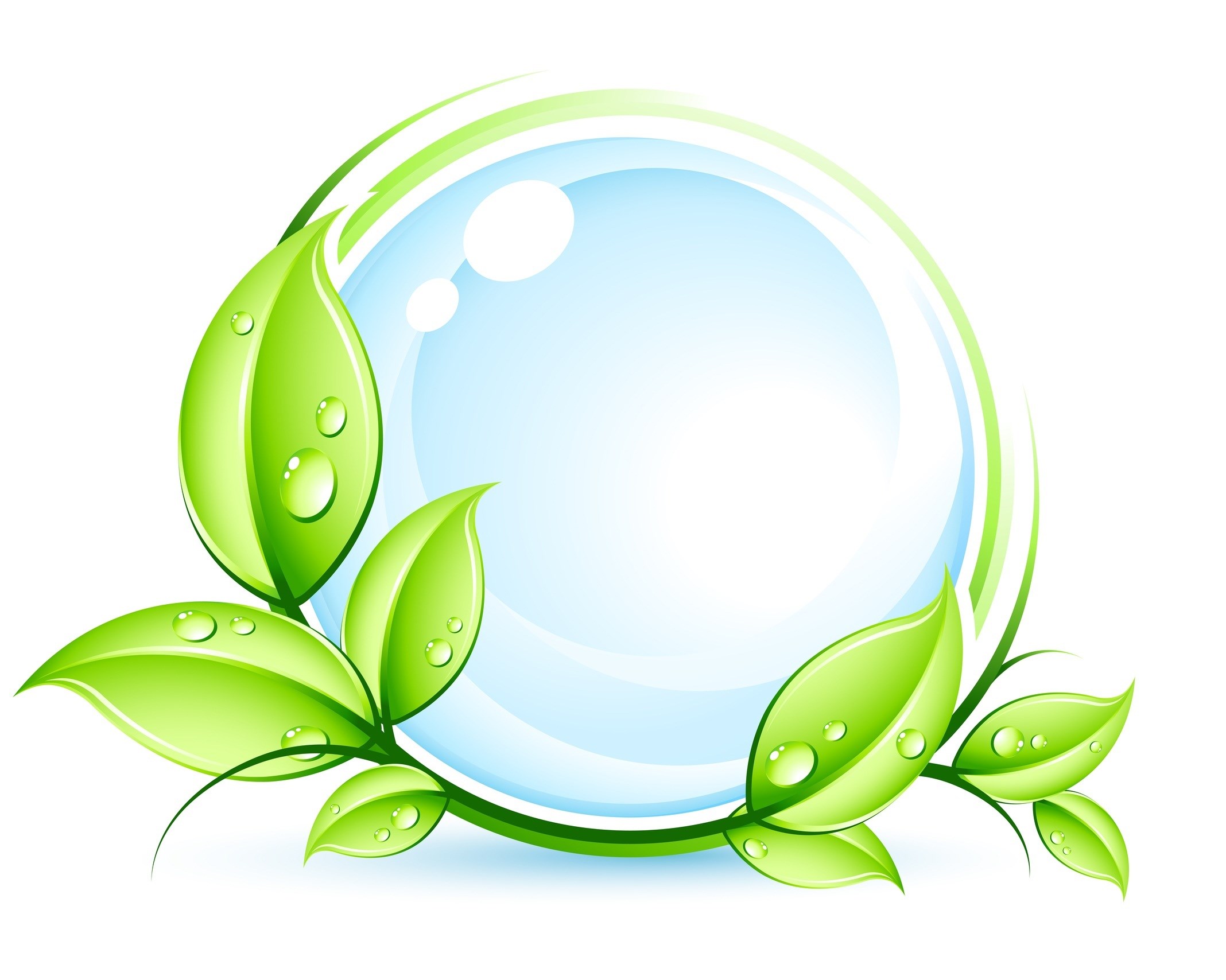 Naturally Clean LLC logo