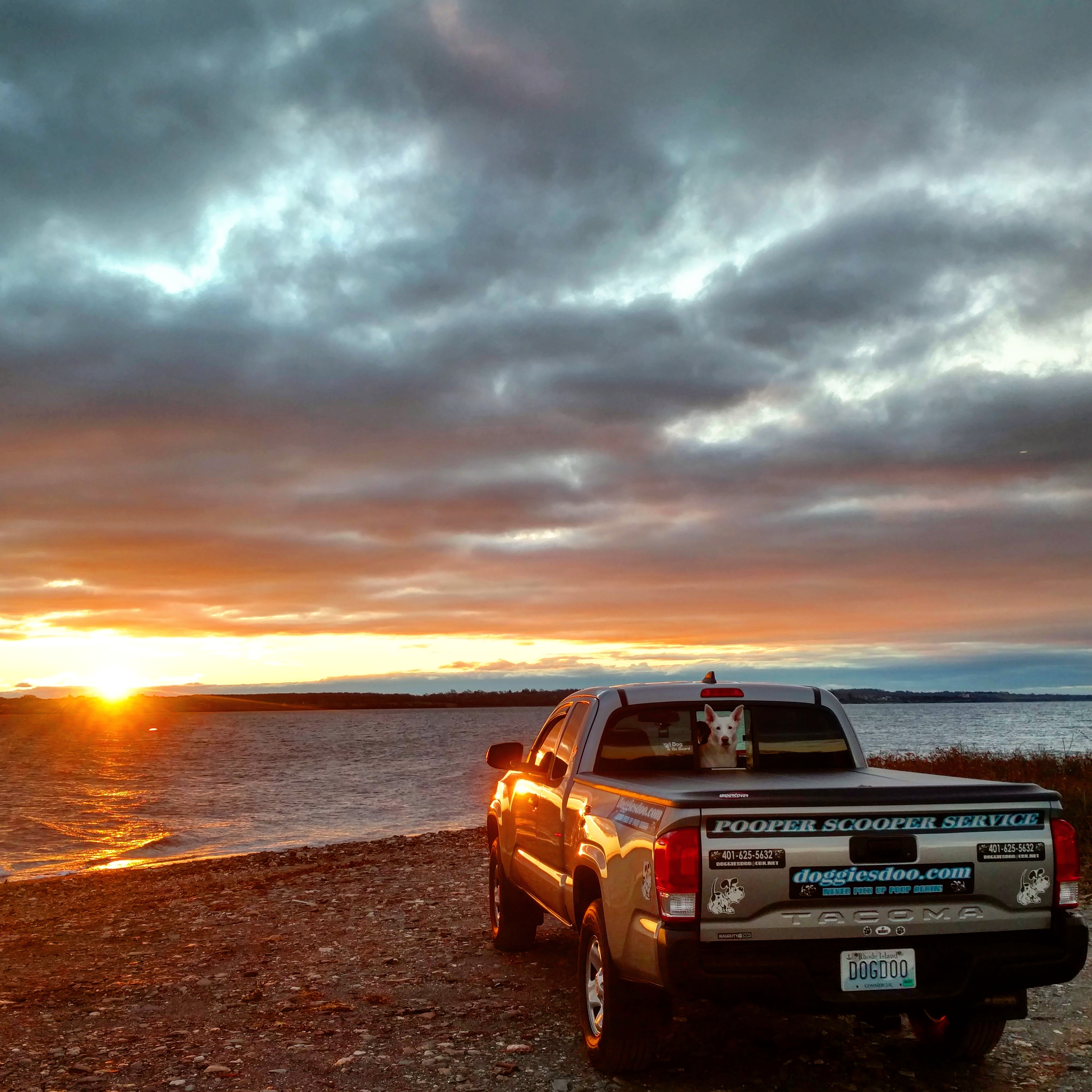 Avatar for Doggies Doo Pooper Scooper Service