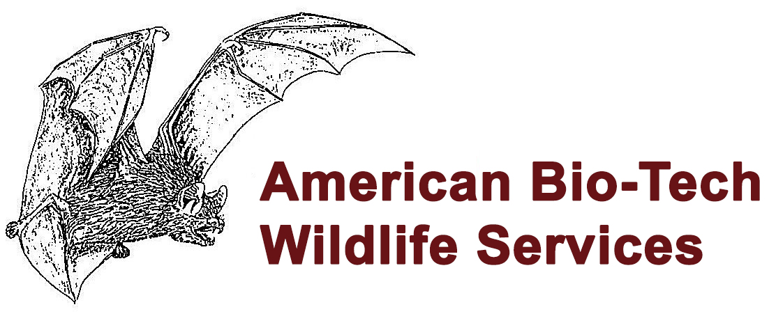 Avatar for American Bio-Tech Wildlife Services