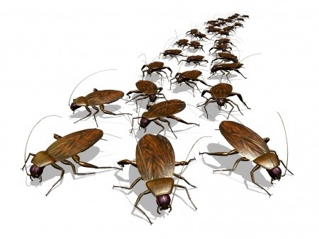 Rid-A-Pest logo