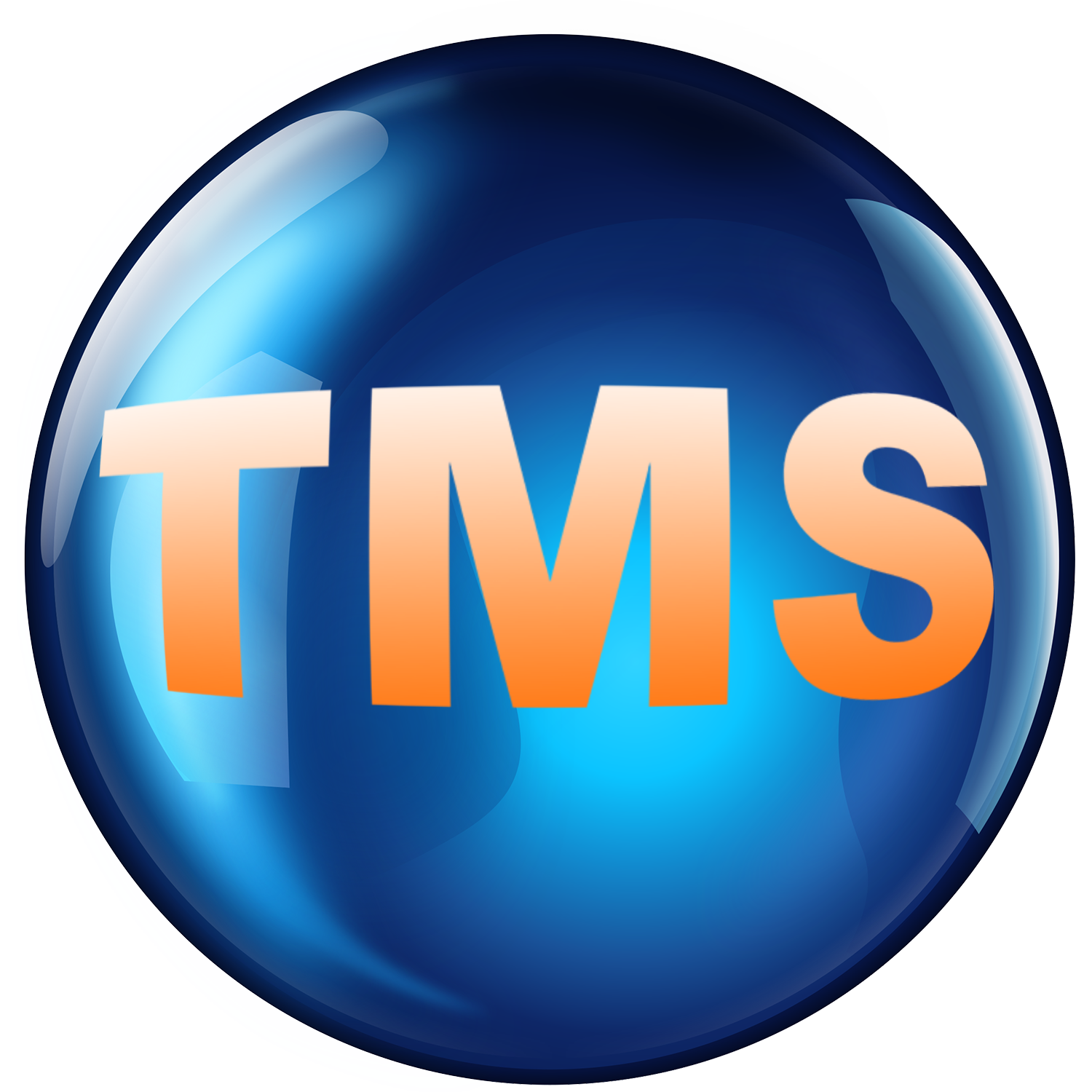 TMS Cleaning Services Inc. logo