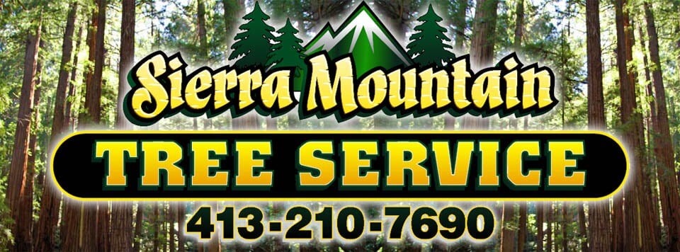 Avatar for Sierra Mountain Tree Service