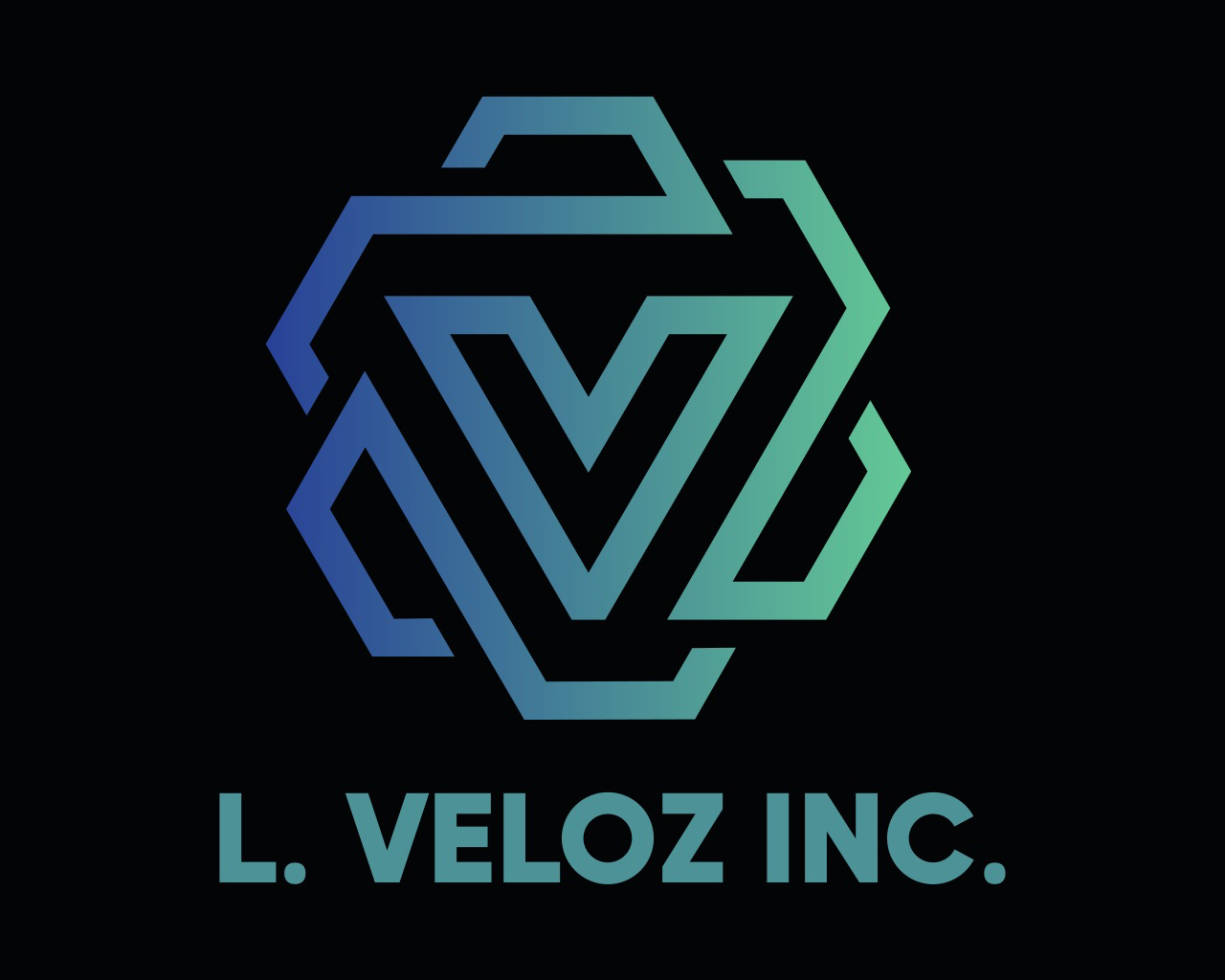 Avatar for Veloz Inc