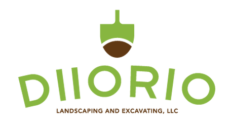 Logo for DIIORIO LANDSCAPING LLC