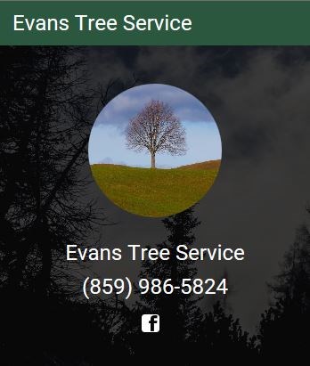 Avatar for Evans Tree Service