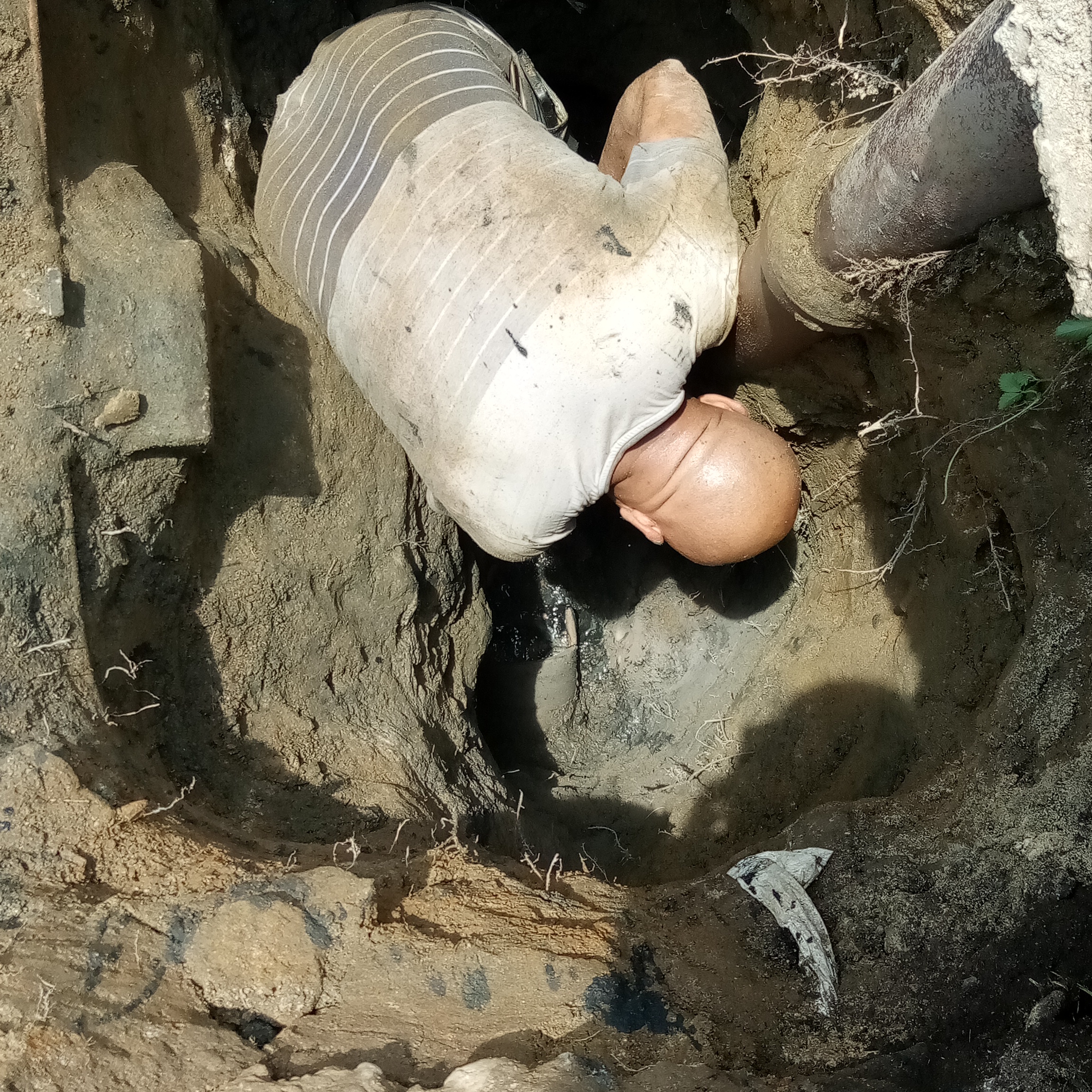 Avatar for South Jersey Drain and Sewer Services