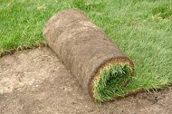 United Tree Service And Landscaping LLC logo