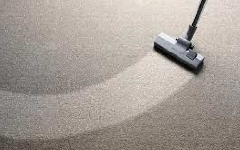 Avatar for Looks Nu Carpet & Upholstery Cleaning, Inc.