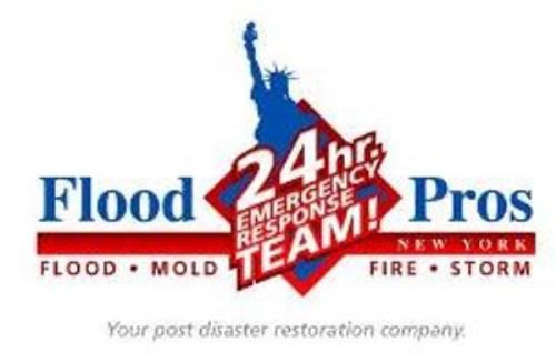 Avatar for Flood Pros of NY