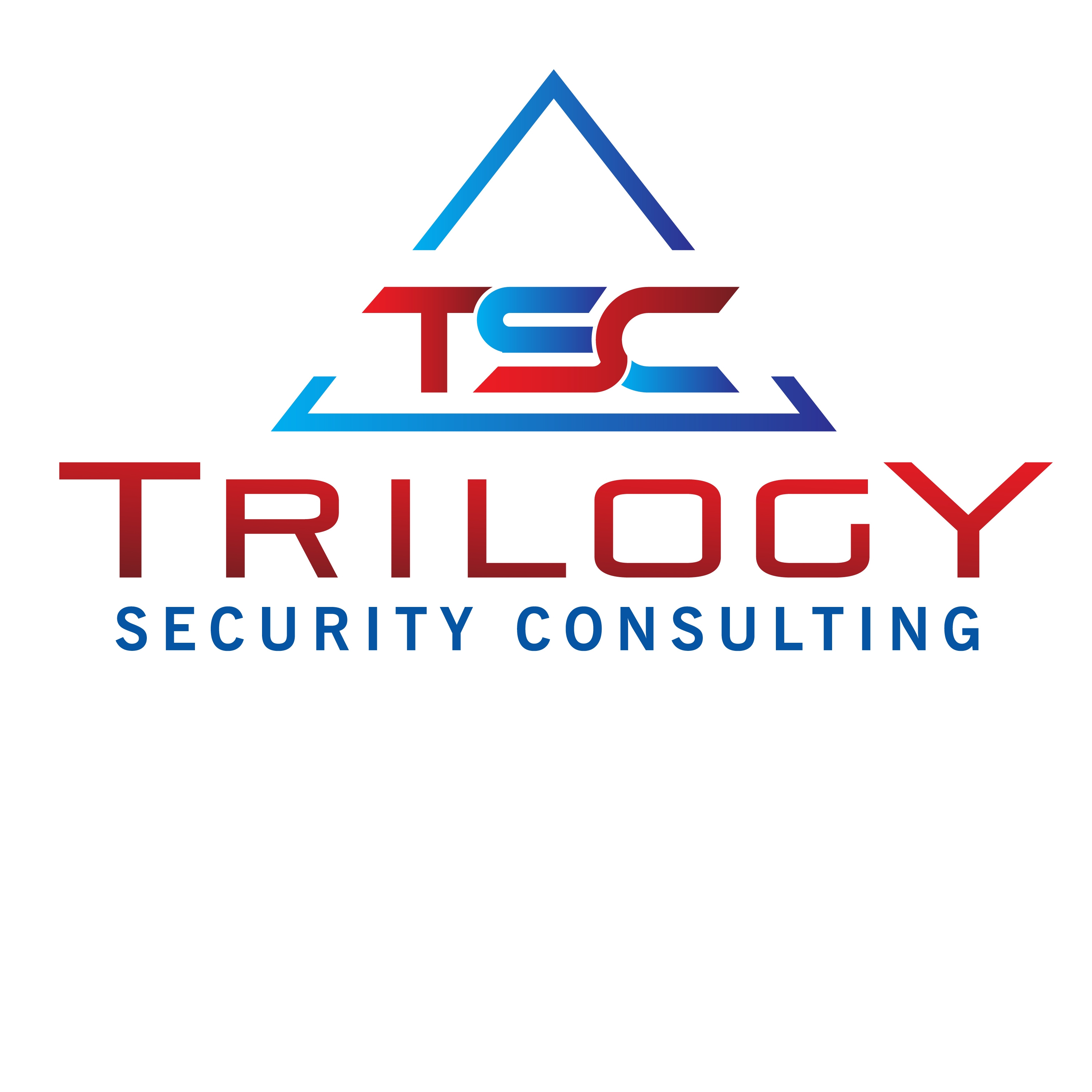 Trilogy Security Consulting logo