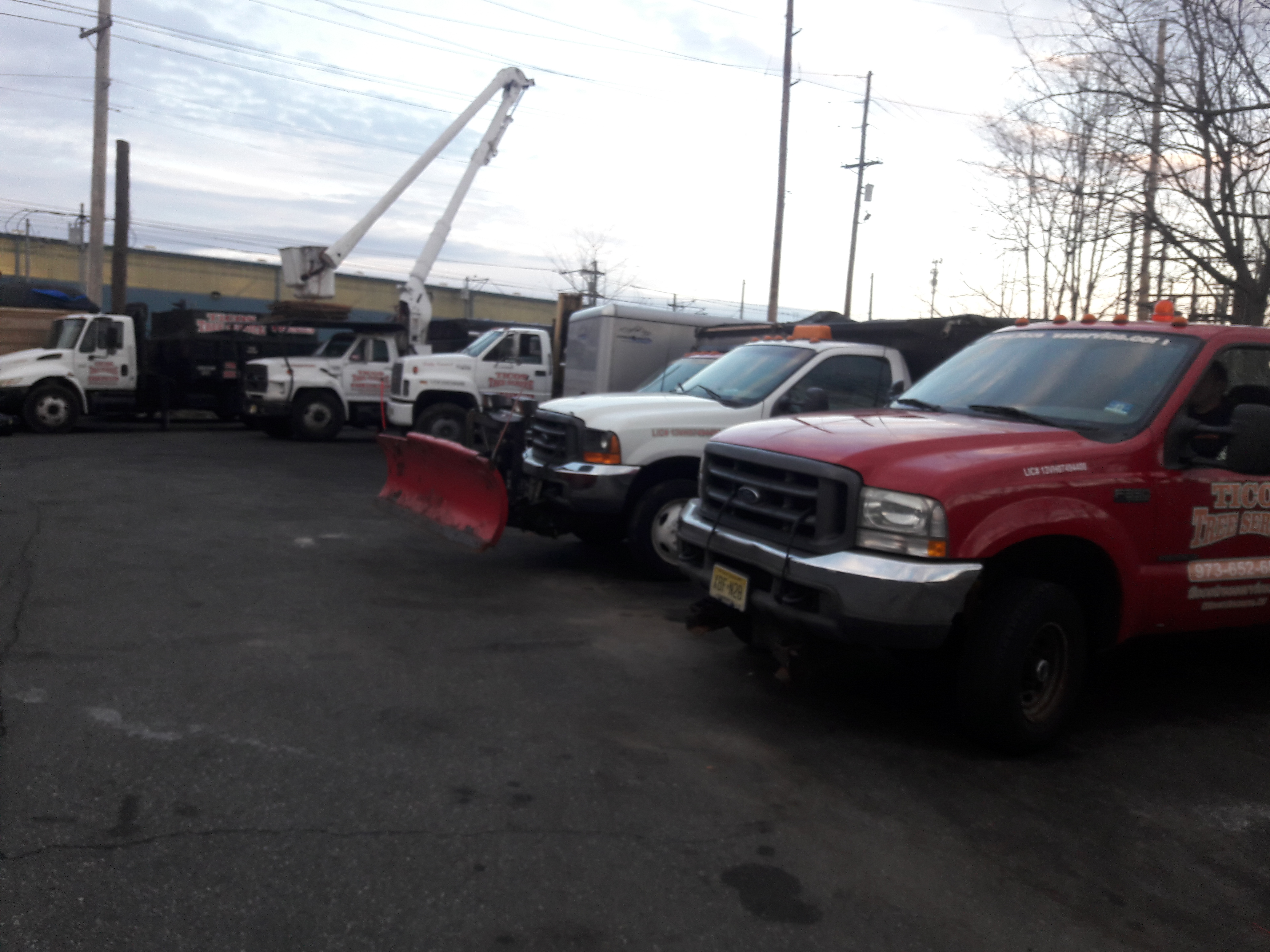 Ticos Tree Service LLC logo