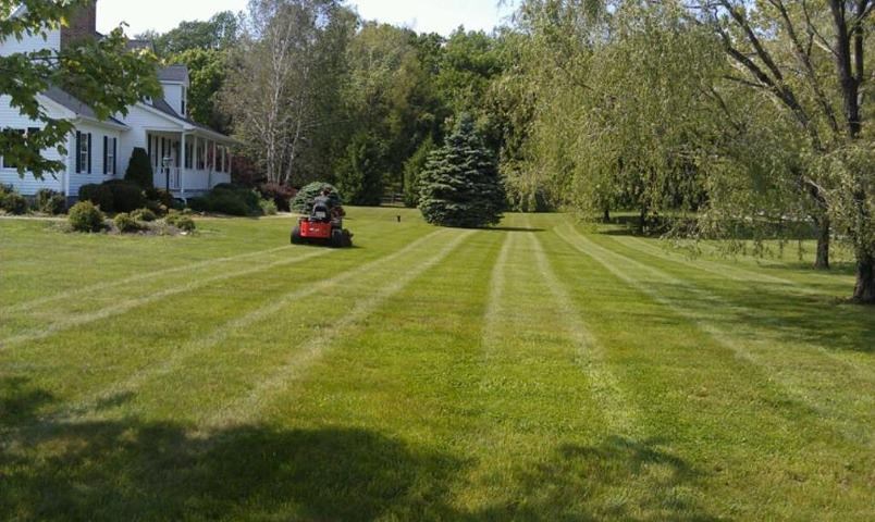 Yard Barbour landscaping & construction logo