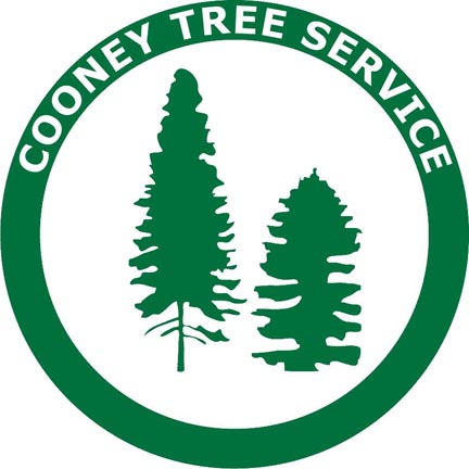 Cooney Tree & Landscaping Service Inc. logo
