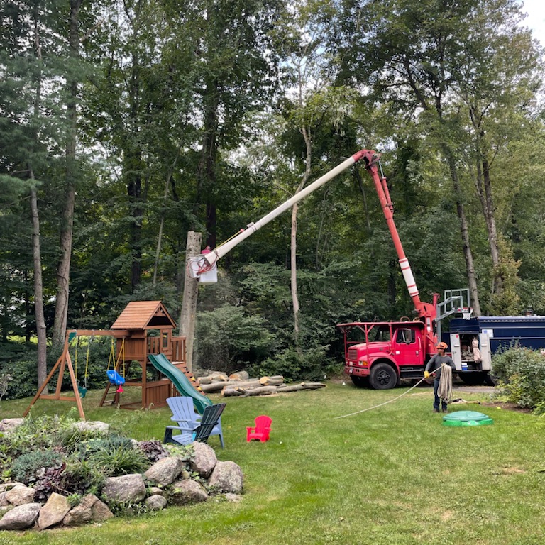 Logo for Eds Tree and Lawn Service