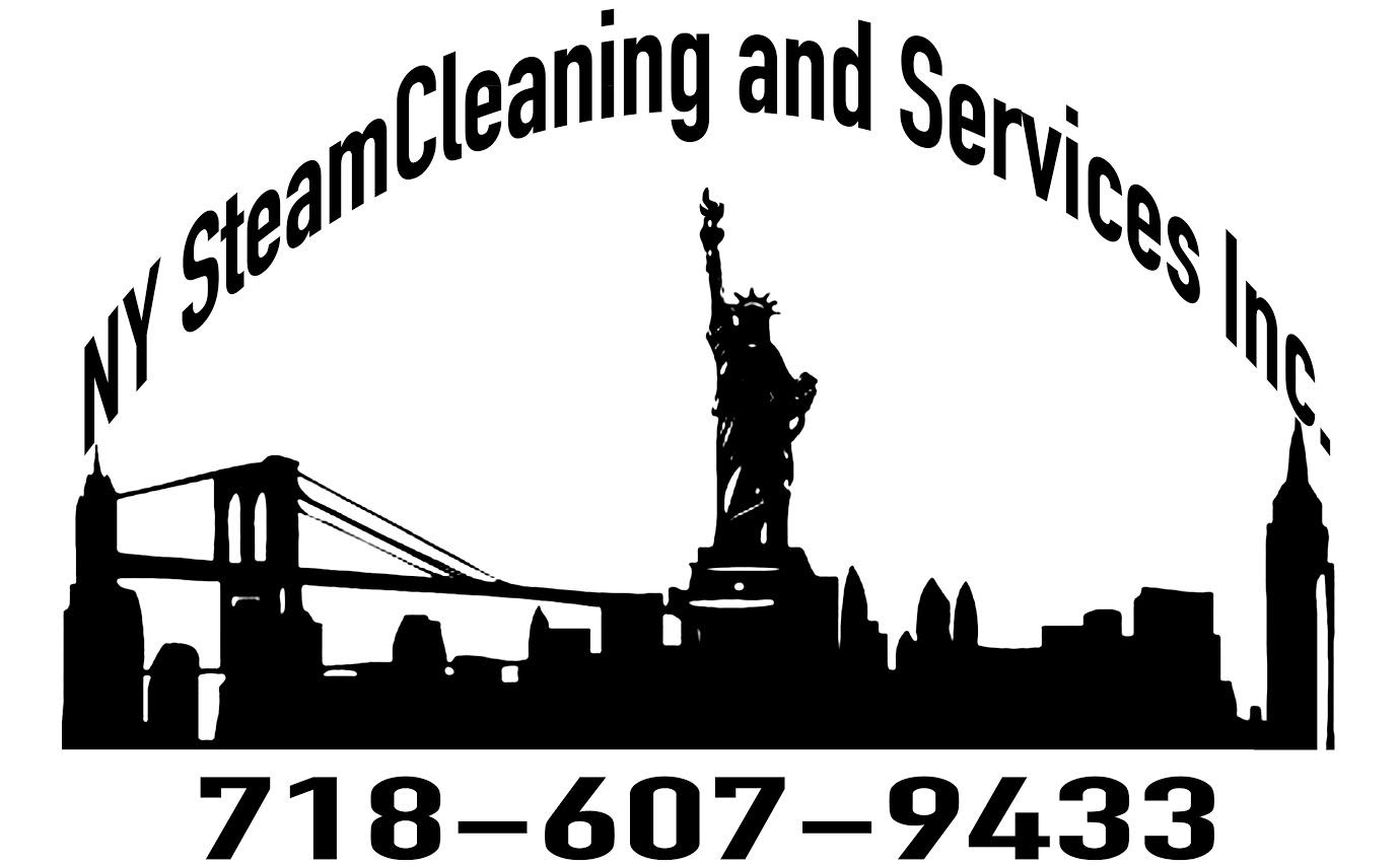 New York SteamCleaning & Services INC. logo