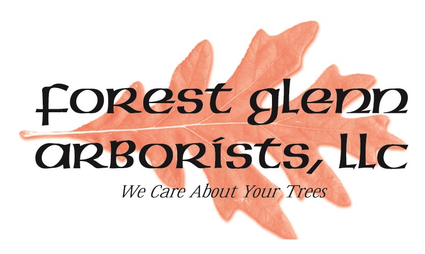 Logo for Forest Glenn Arborists LLC