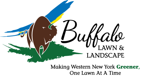 Buffalo Lawn & Landscape, Inc. logo