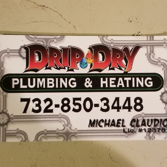 Drip Dry Plumbing and Heating logo