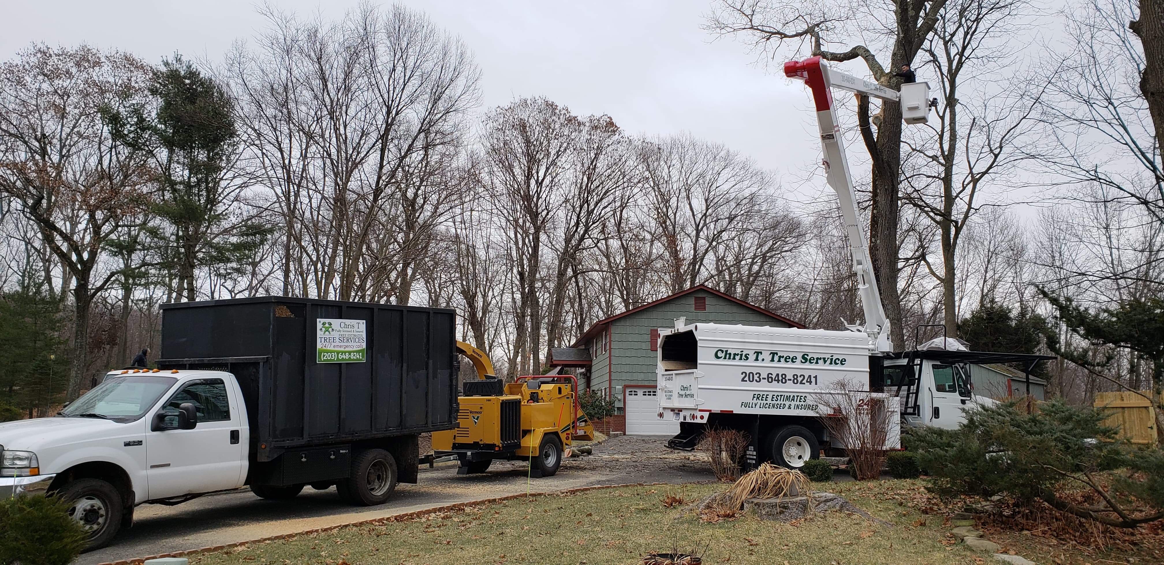 Chris T  Tree Services logo