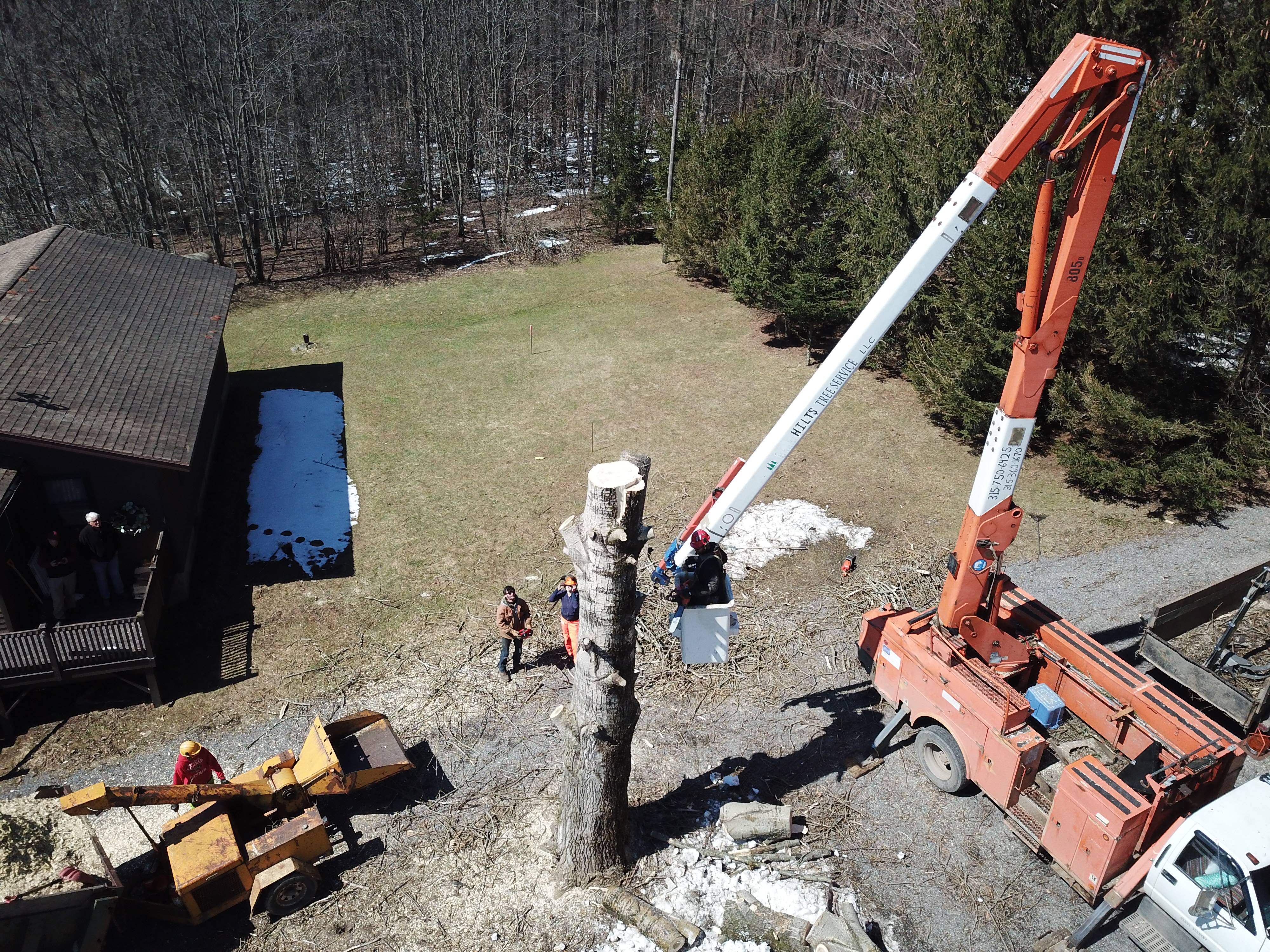 Hilts Tree Service, LLC logo